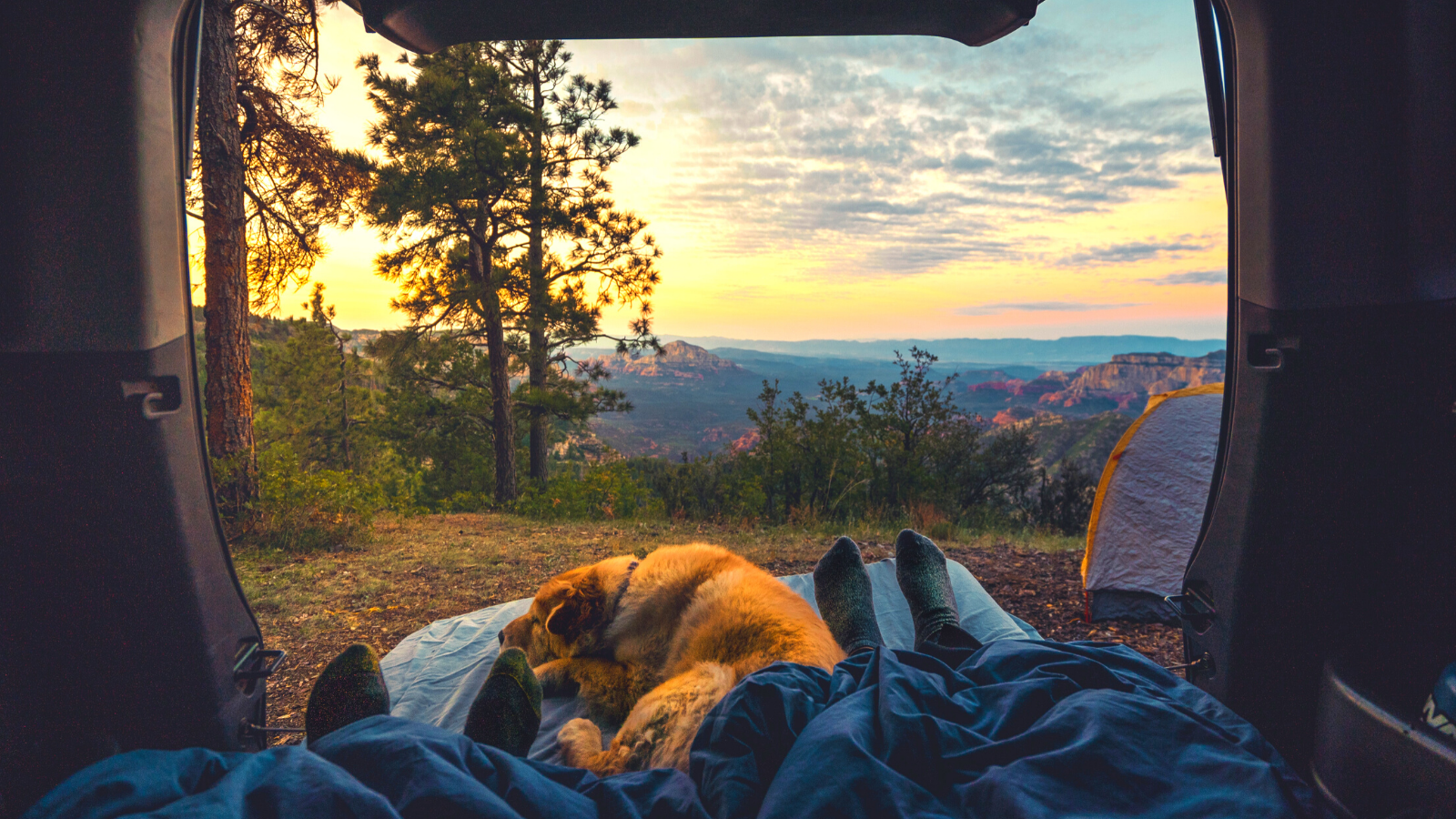 You are currently viewing The Writer’s Top 10 Camping Essentials