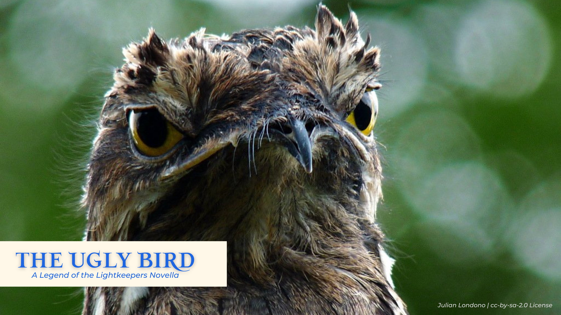 Read more about the article The Ugly Bird – Chapter 1: Meg